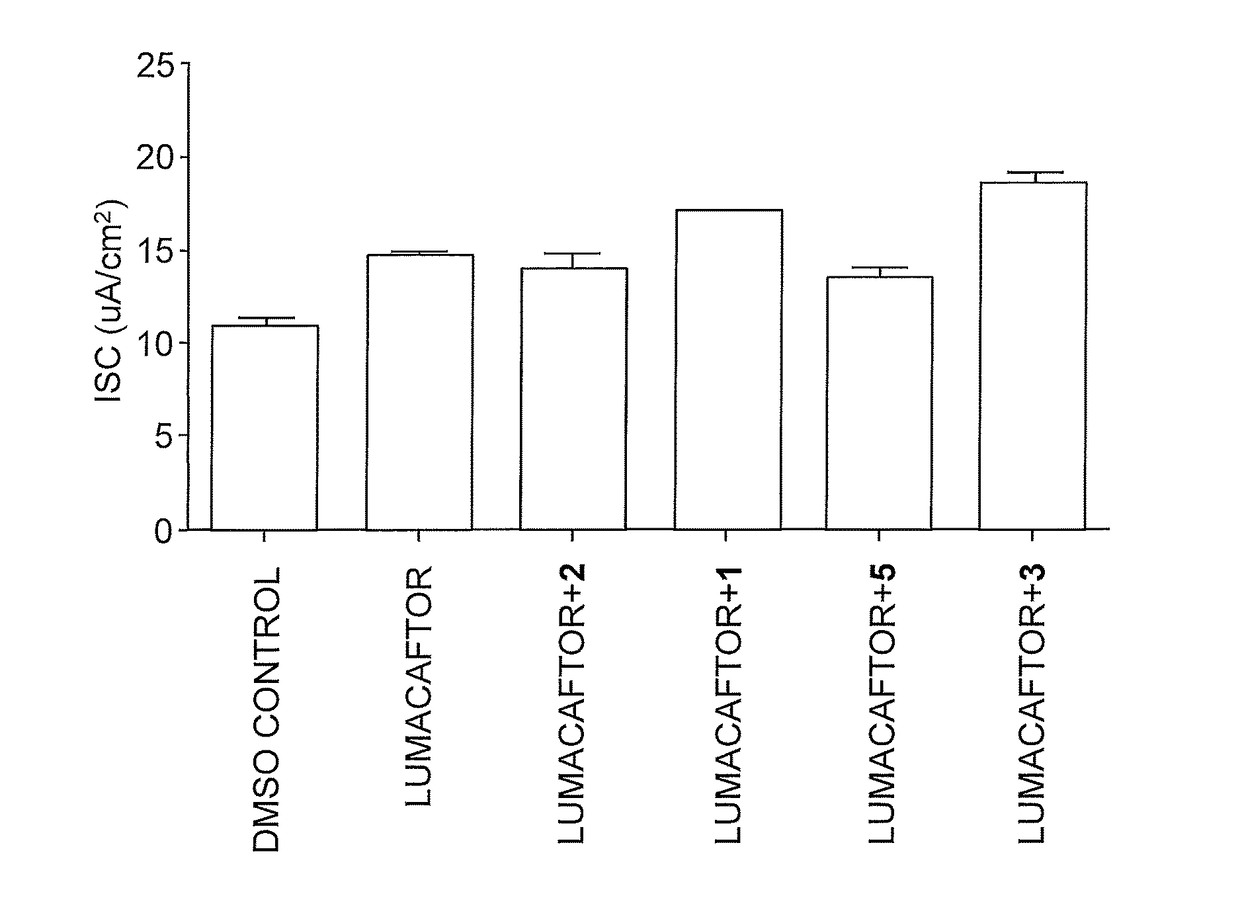 Dab2 inhibitors for the prevention and treatment of cystic fibrosis