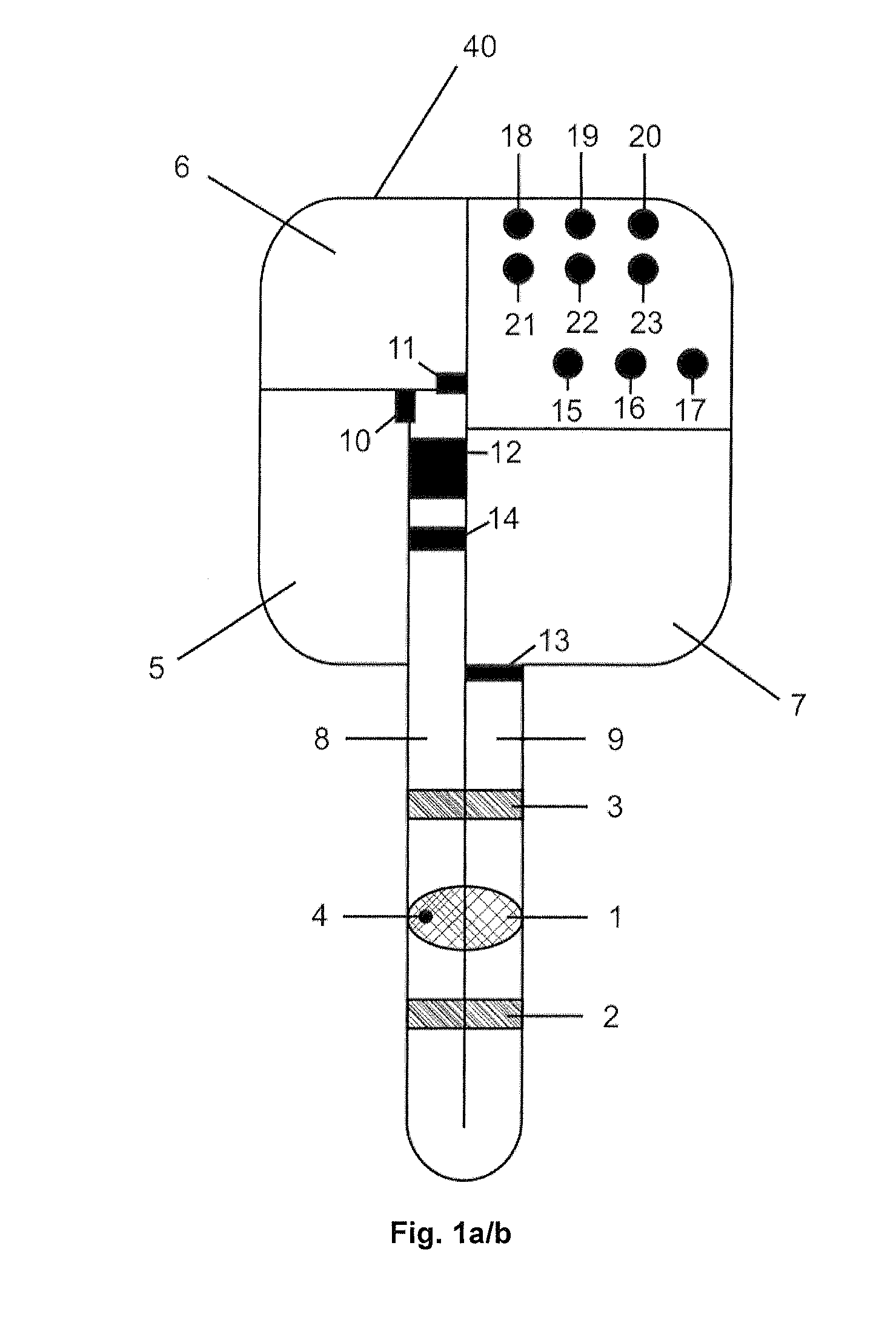 Implantable biosensor with automatic calibration