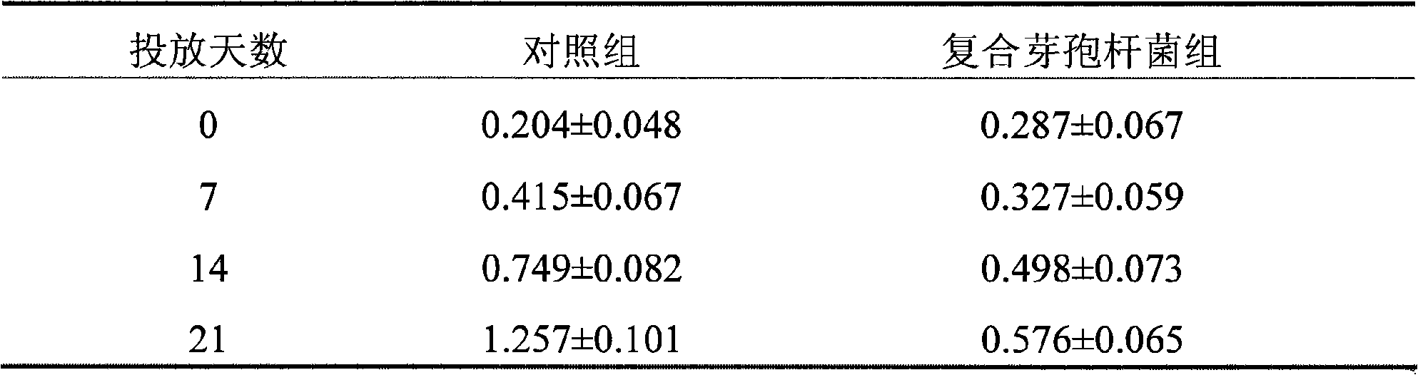 Composite bacillus preparation for improving marine culture water environment and preparation thereof