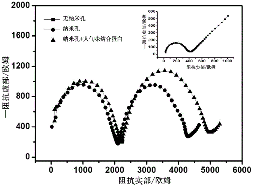 Preparation method and applications of human odor binding protein sensor of nano-pore array