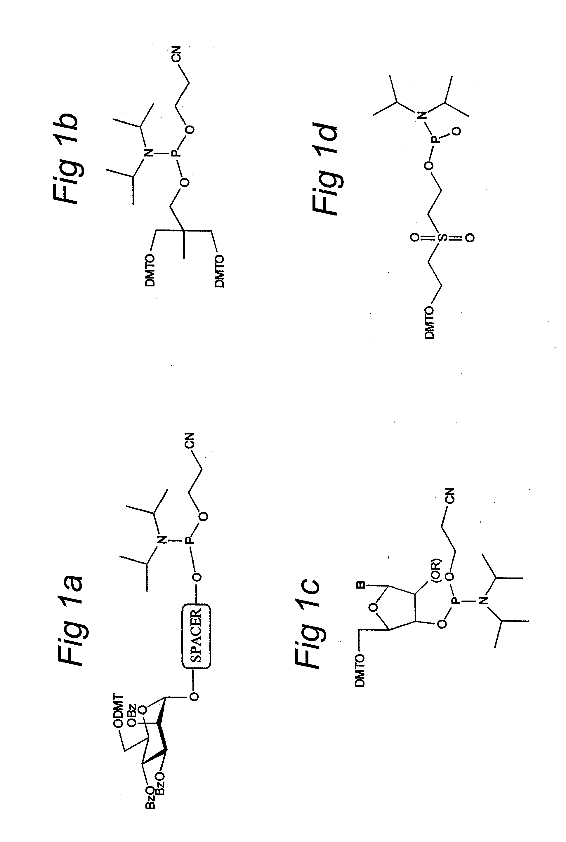 Mannose-6-phosphate receptor mediated gene transfer into muscle cells