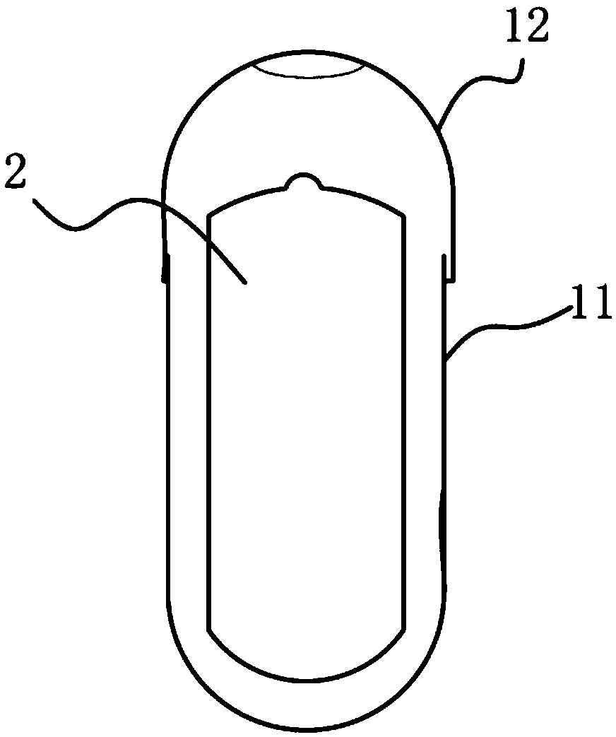 Capsule type potato seed