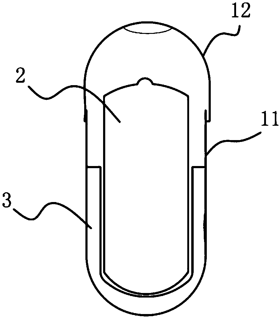 Capsule type potato seed