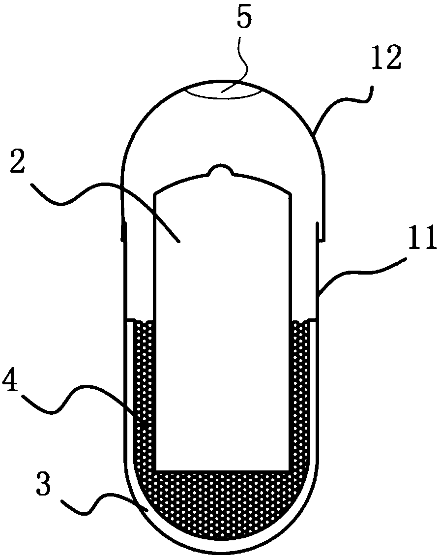 Capsule type potato seed