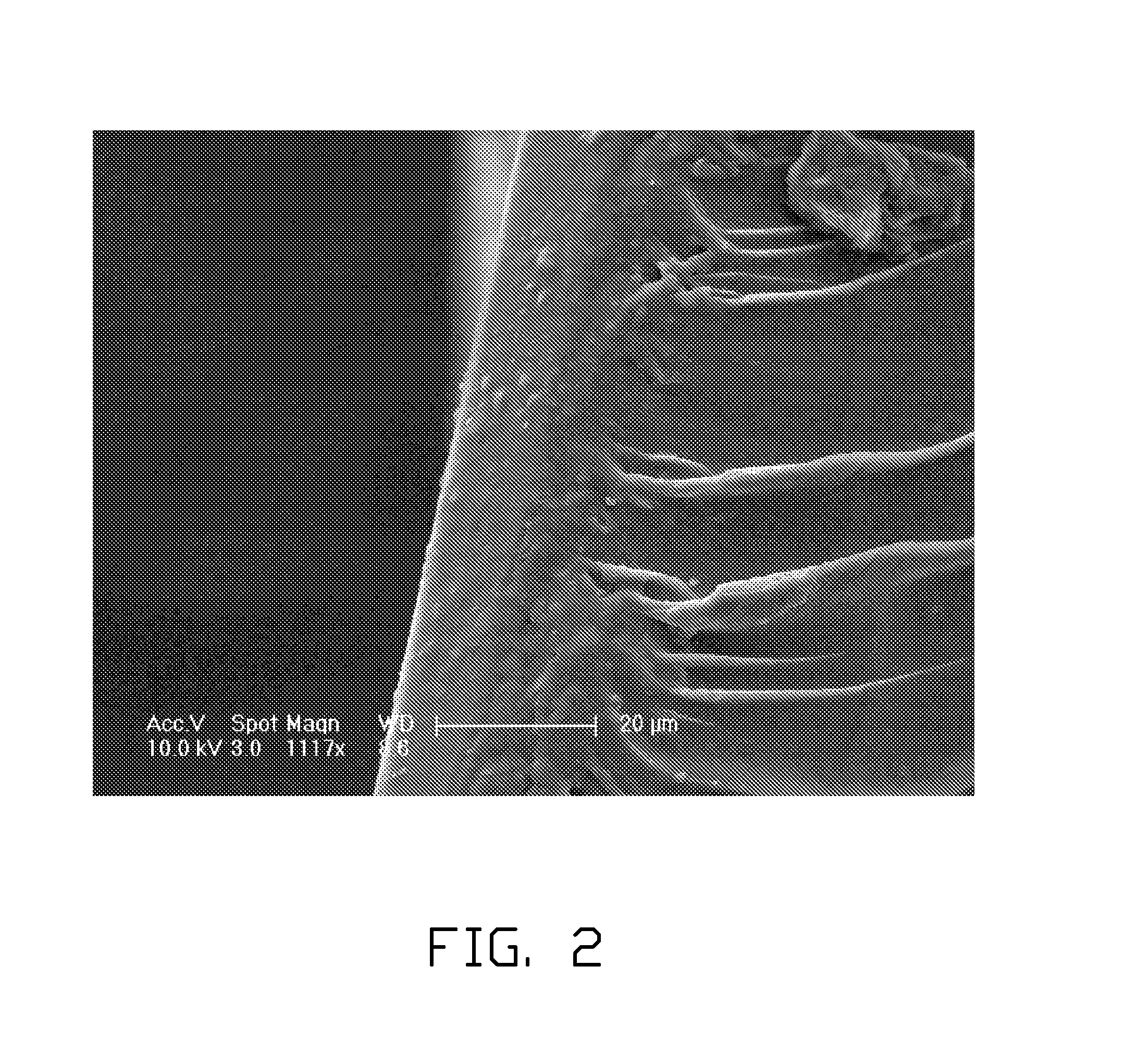 Carbon nanotube composite