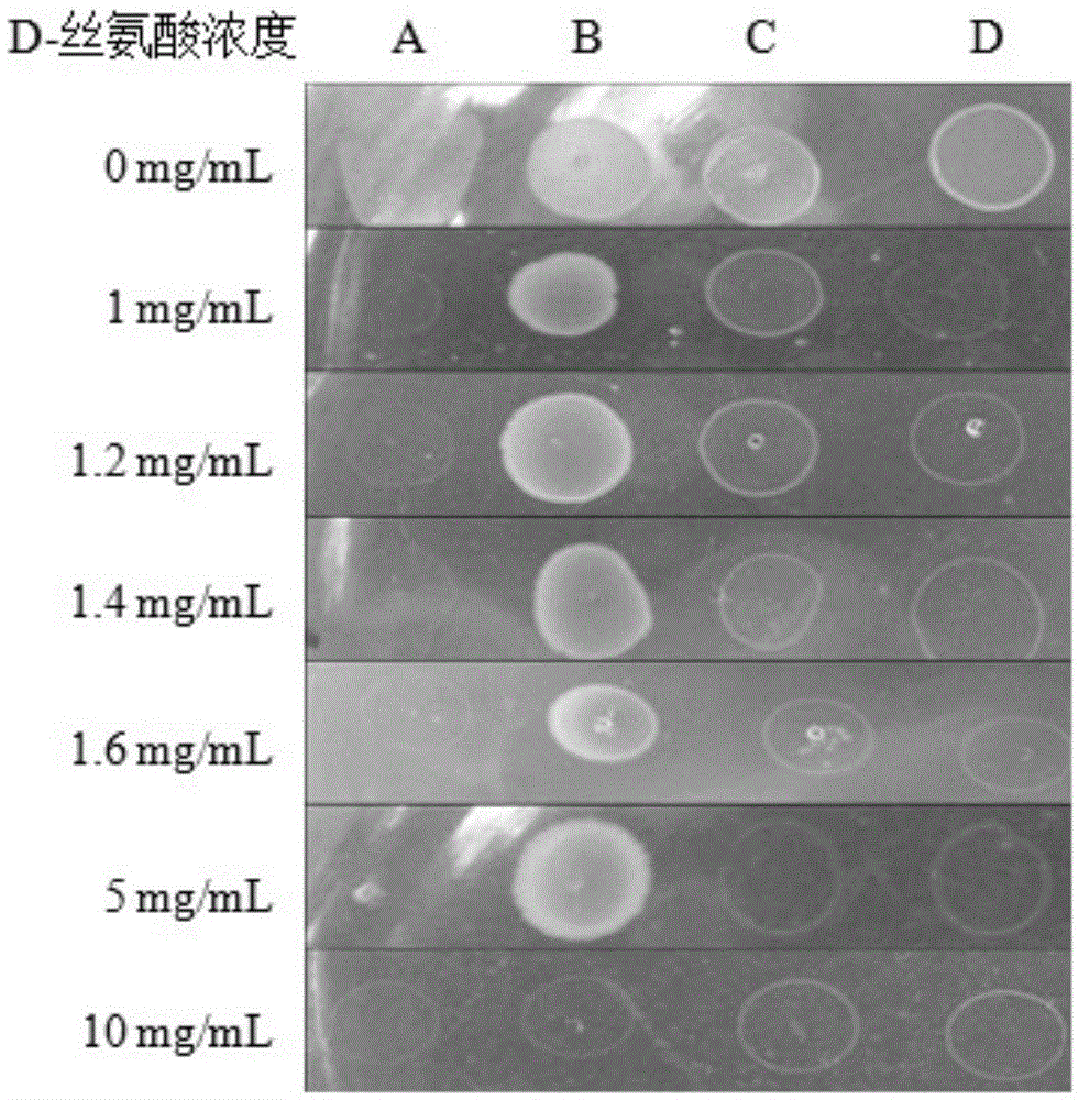 Gene of coded 6-phosphogluconate dehydrogenase and application thereof