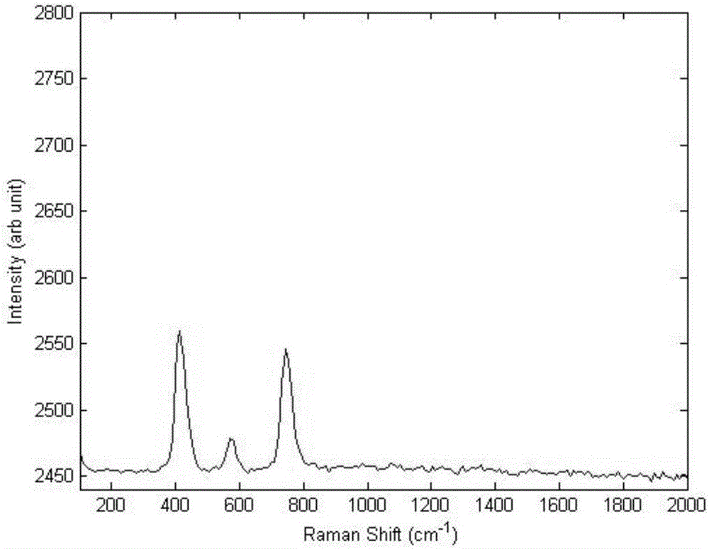 Raman spectrum detection system based on single crystal sapphire optical fibers and sapphire optical fiber probe manufacturing method