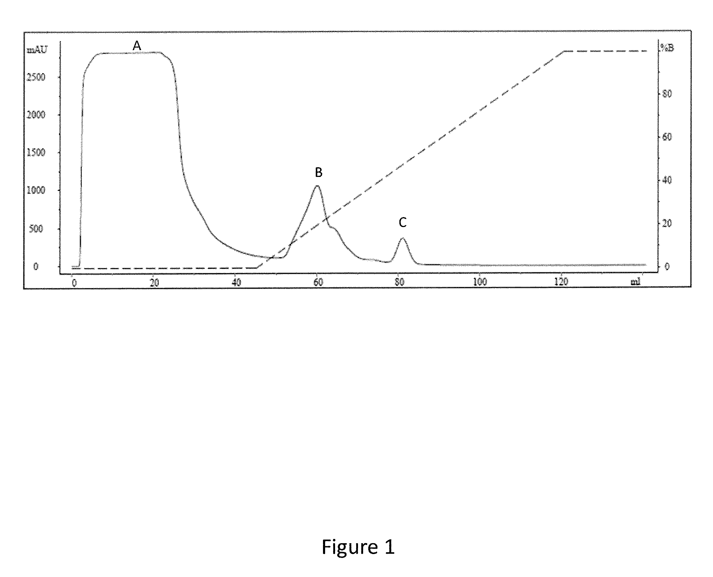 Modified coiled coil type proteins having improved properties