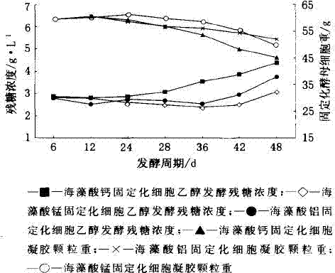 Method for fermenting ethanol by immobilized cells of Pichia stipitis