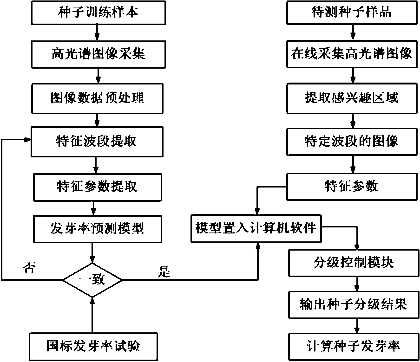 Hyperspectrum-based seed germination rate online-detection apparatus and method thereof