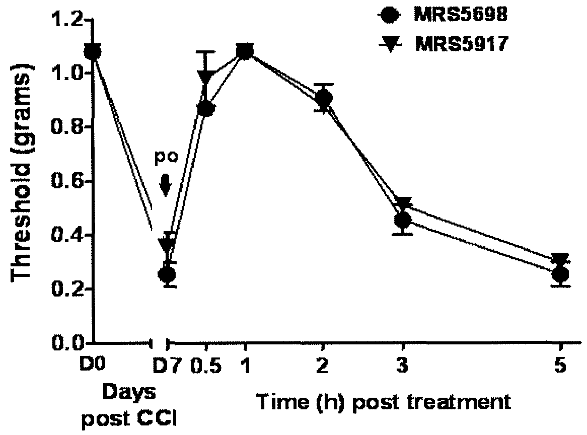 A3 adenosine receptor agonists