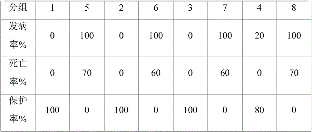 Chicken inclusion body hepatitis inactivated vaccine and preparation method thereof