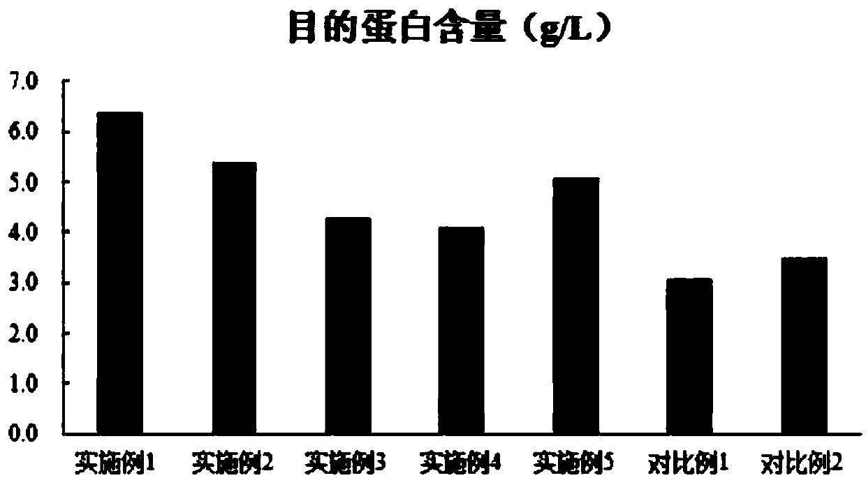 Combined medium for expressing adalimumab