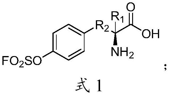 Sulfonyl fluoride compound and application thereof