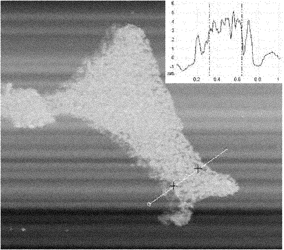 Method for preparing graphene/semiconductor quantum dot composite material