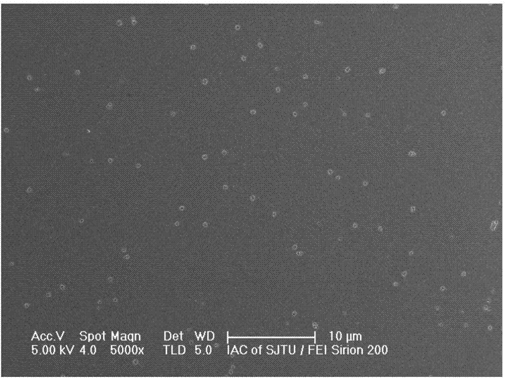 Copper-zinc-tin-sulfur (CZTS) thin film and preparation method and purposes thereof