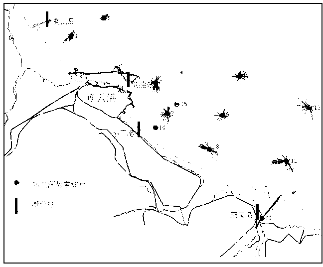 Simulating method of numerical value of sediment movement of silty and muddy coast