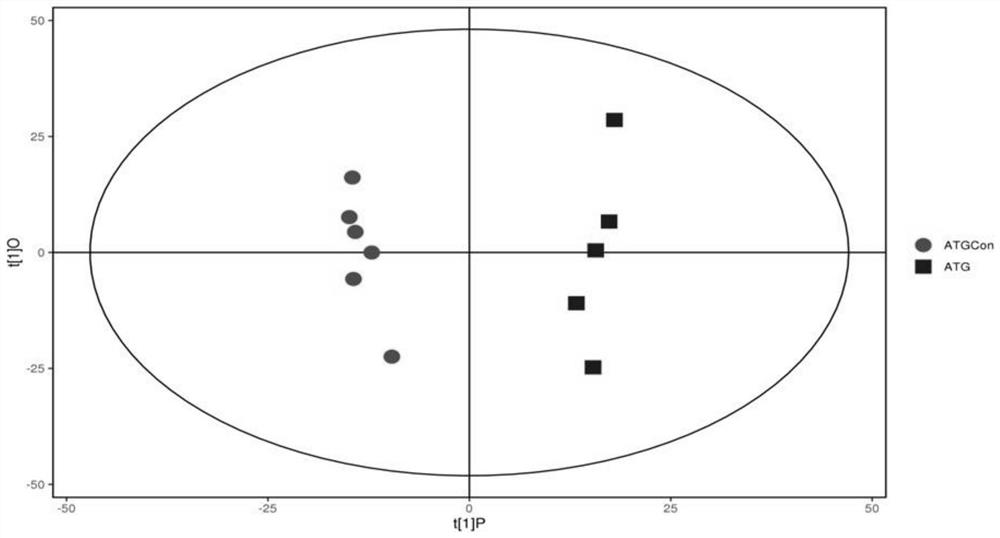 AGEs feed for SPF-level experimental rats and mice and preparation and content determination method of AGEs feed