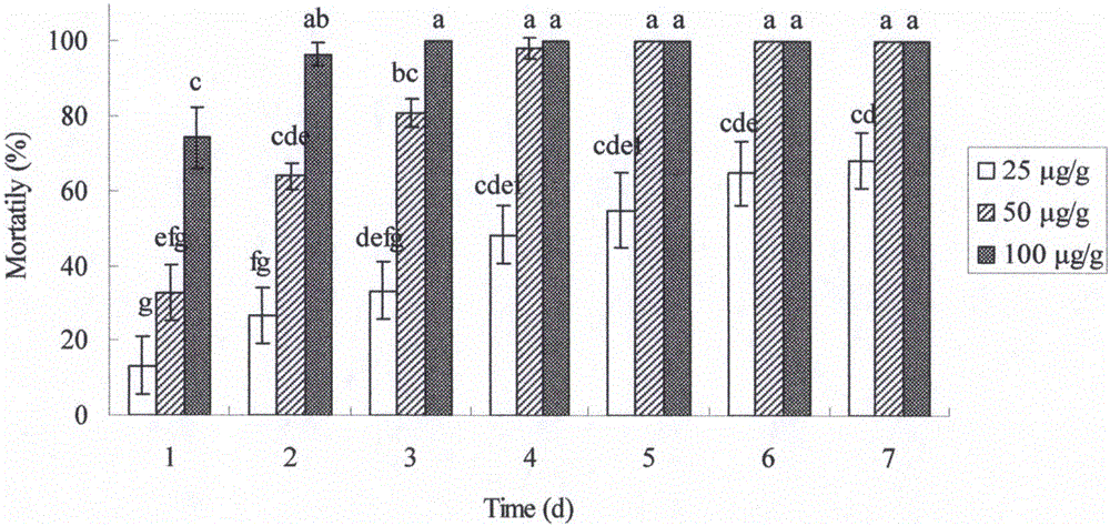 Preparation method and applications of termite killing preparation namely clove essential oil