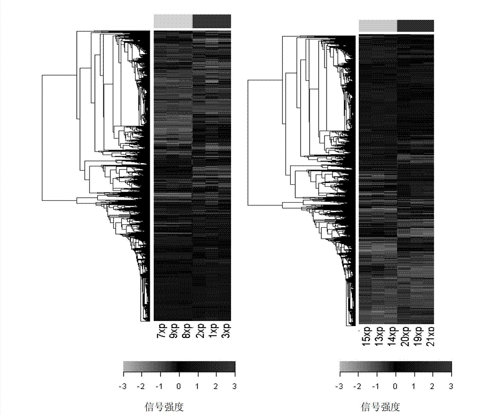 Method for testing drought tolerances of vigna unguiculata type I and vigna unguiculata type II by fluorogenic quantitative PCR (polymerase chain reaction), diagnostic genes and primers