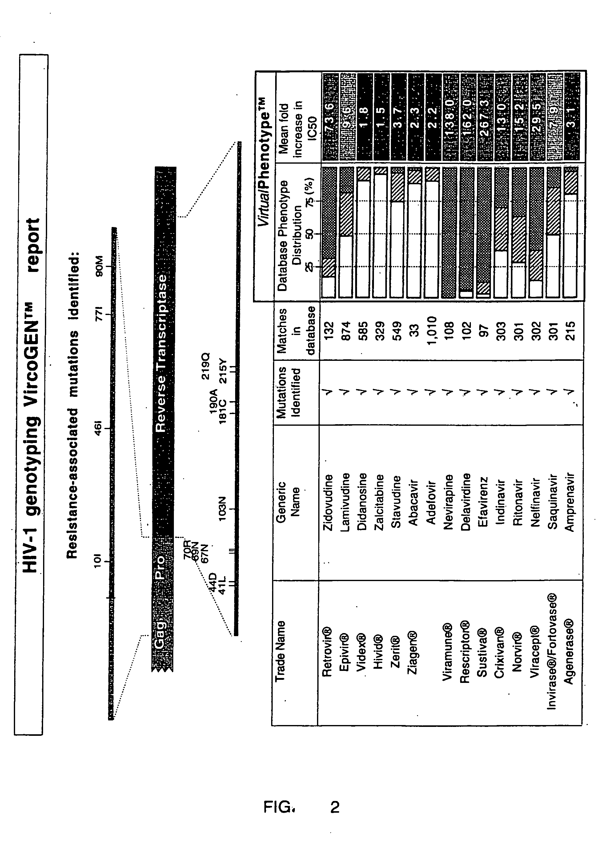 Method for measuring drug resistance