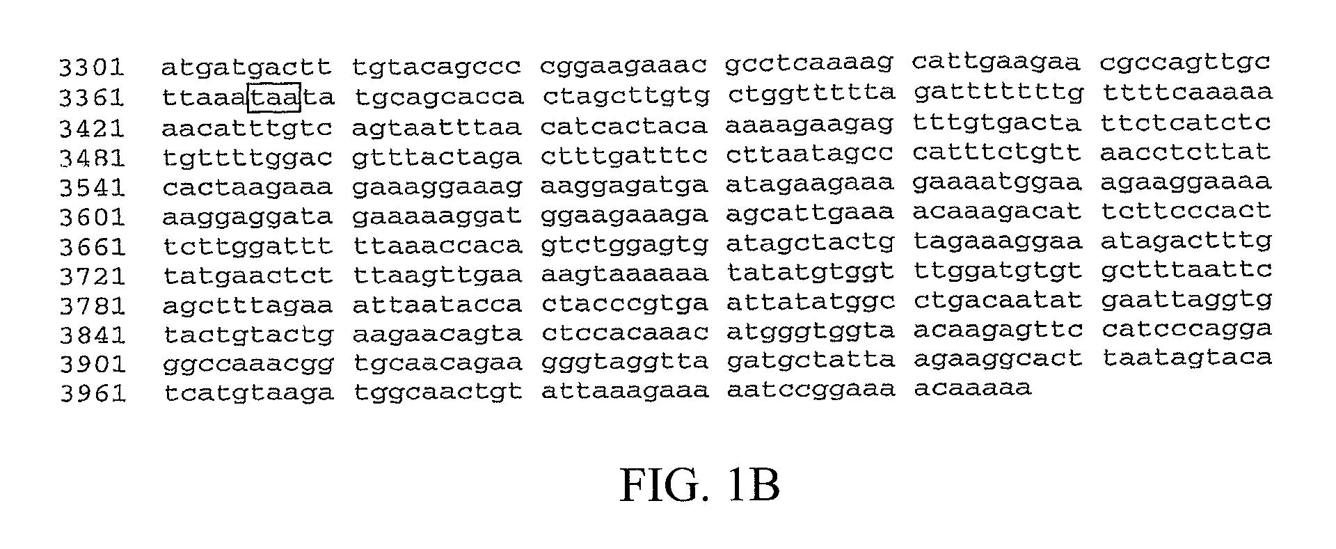 P53 modulator and cancer target