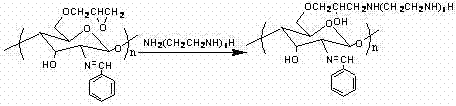 Polyamine-modified chitosan base expanded bed adsorbing medium and preparation method thereof