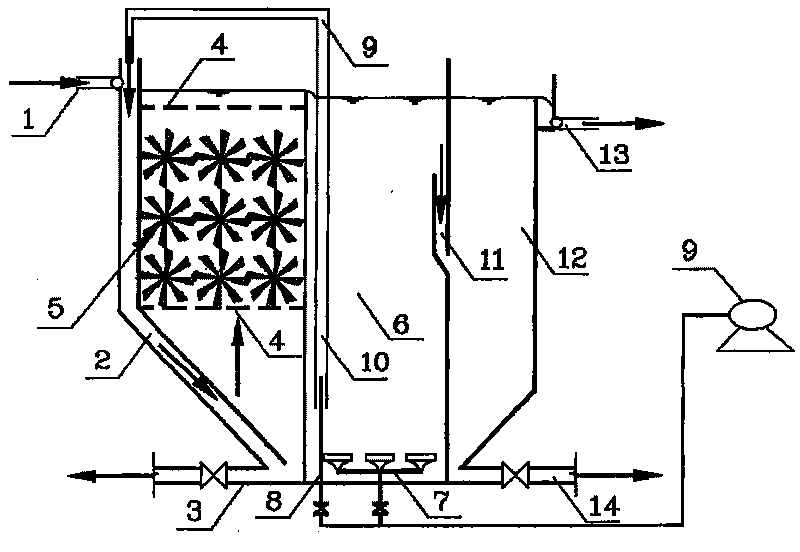 Method for lichenism system purification and short-term contact oxidation comprehensive processing sewerage