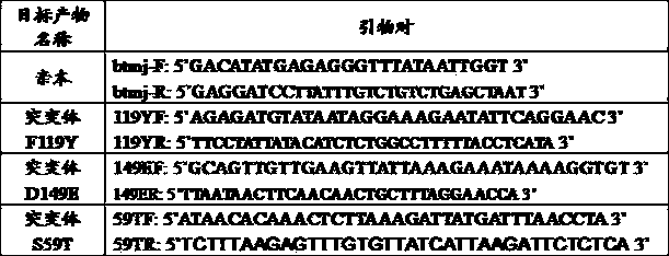 Nicotinamide mononucleotide adenylyltransferase (Nmnat) mutant as well as coding gene and application thereof