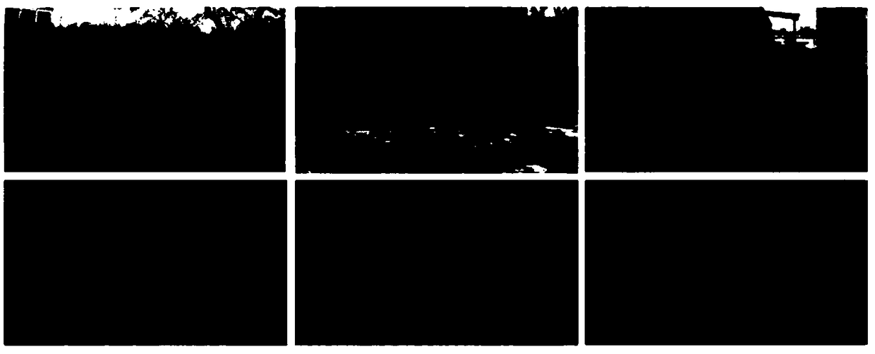 Stereo image quality evaluation method based on region weight