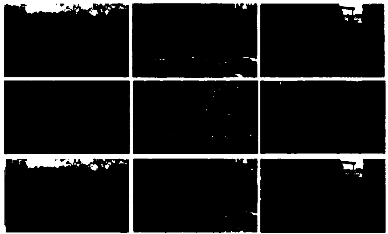 Stereo image quality evaluation method based on region weight