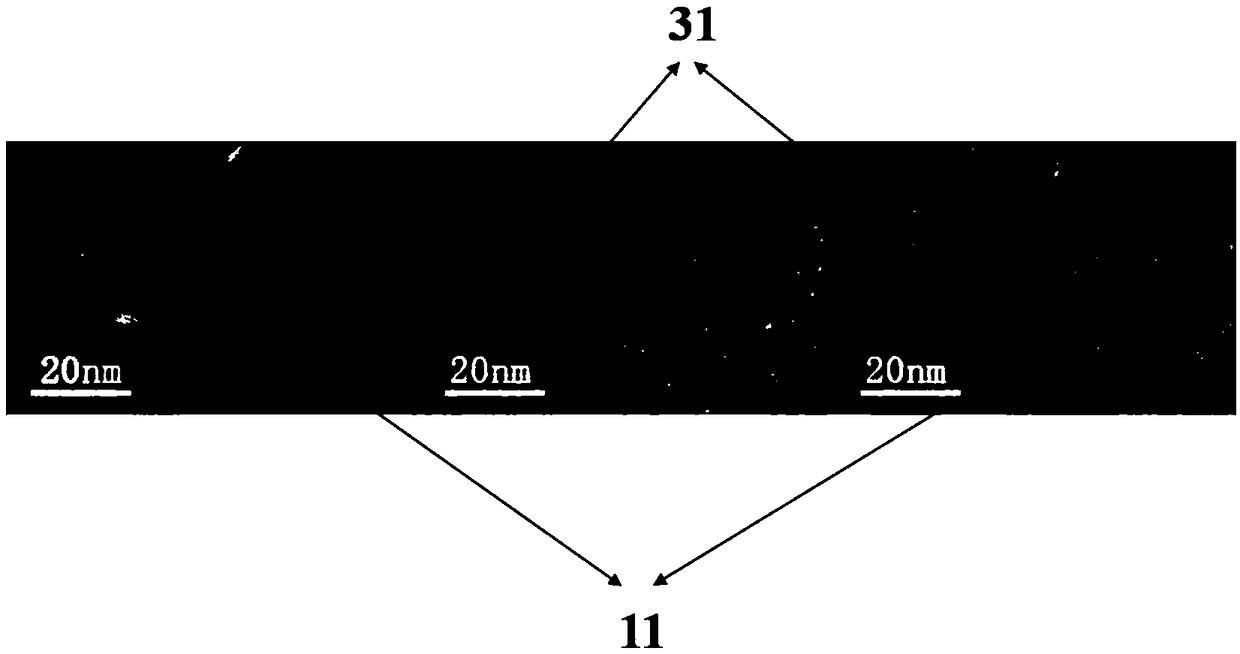 Detection probe as well as preparation method and application thereof