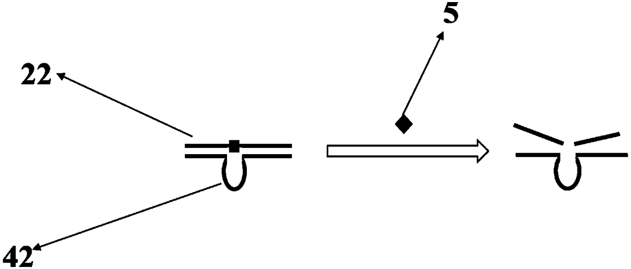 Detection probe as well as preparation method and application thereof