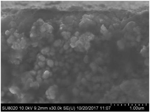 Method for preparing polyelectrolyte composite nanofiltration membrane by using freeze drying technology