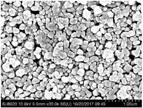 Method for preparing polyelectrolyte composite nanofiltration membrane by using freeze drying technology