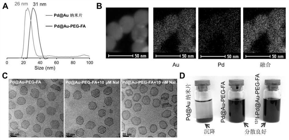 A radioactive iodine-labeled two-dimensional palladium-based probe and its preparation method and application