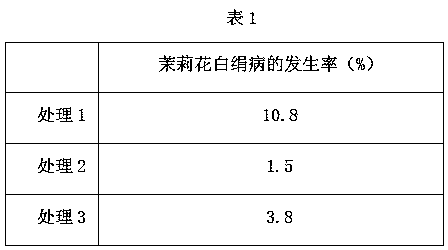 Method for producing special organic fertilizer for preventing and treating jasmine southern blight by utilizing Baeckea frutescens waste residue