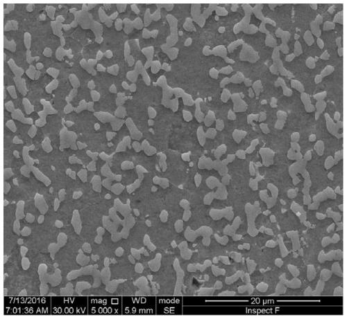 Liquid-Pb/Bi-corrosion-resistant high-strength Fe-Cr-Zr-W-Mo-B ferrite alloy and preparing method thereof