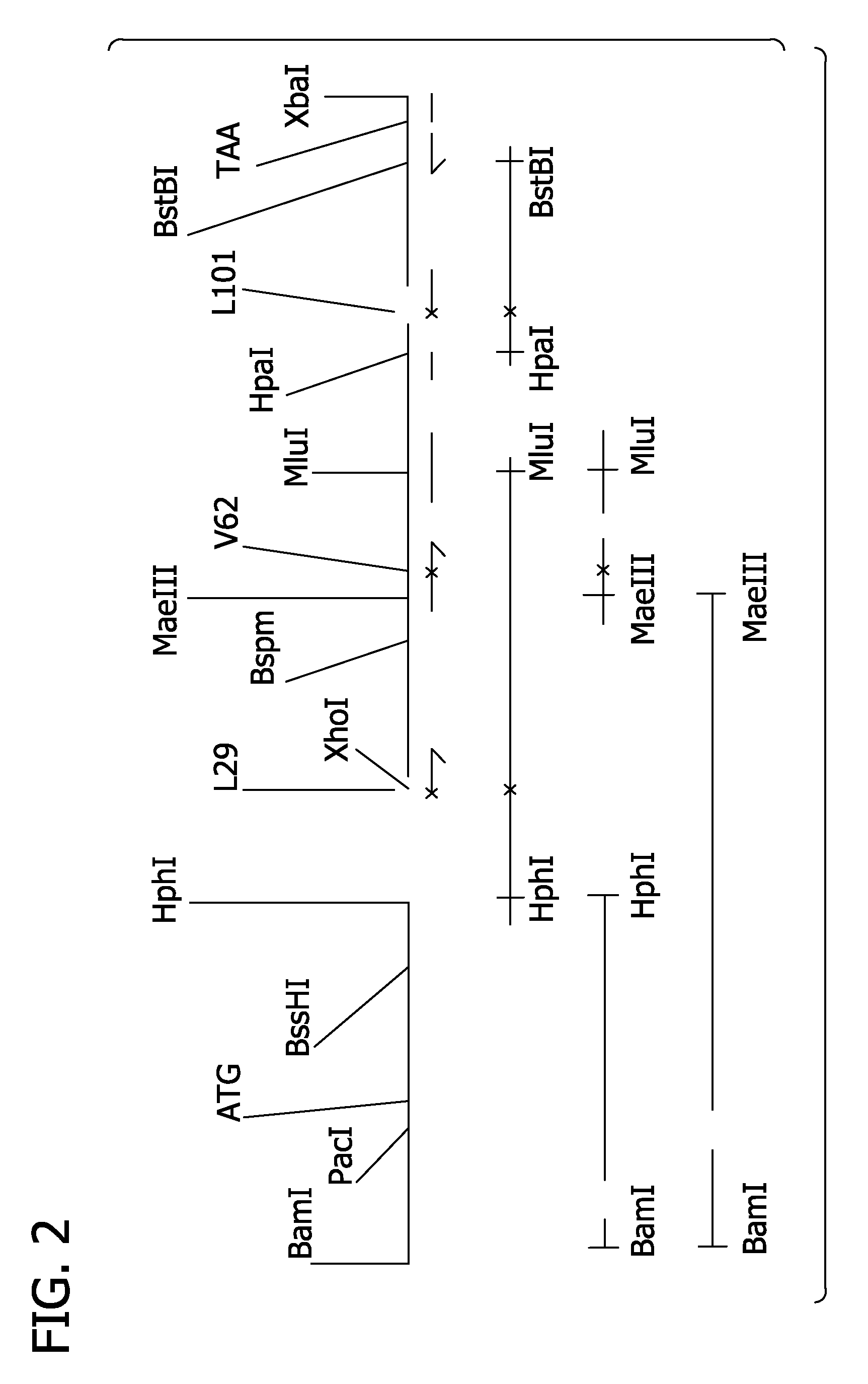 Reduced side-effect hemoglobin compositions