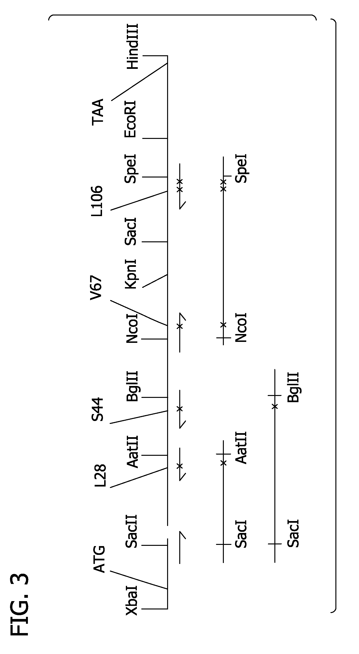 Reduced side-effect hemoglobin compositions