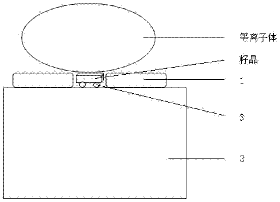 Seed crystal tray, abutment assembly and application thereof for diamond single crystal homoepitaxial growth