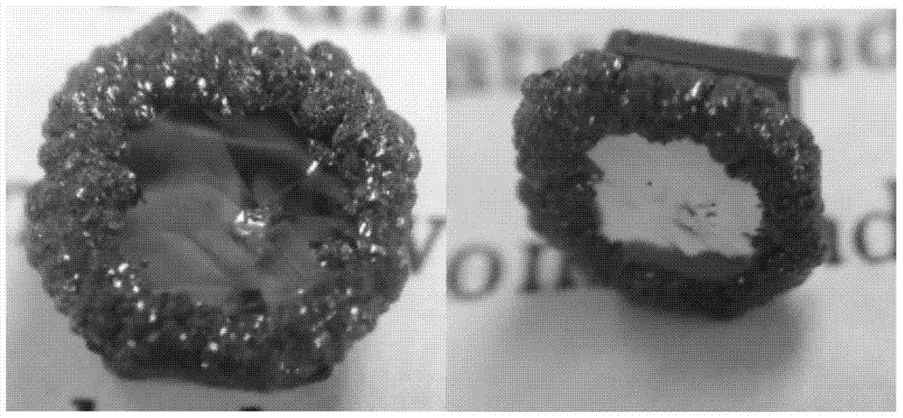 Seed crystal tray, abutment assembly and application thereof for diamond single crystal homoepitaxial growth