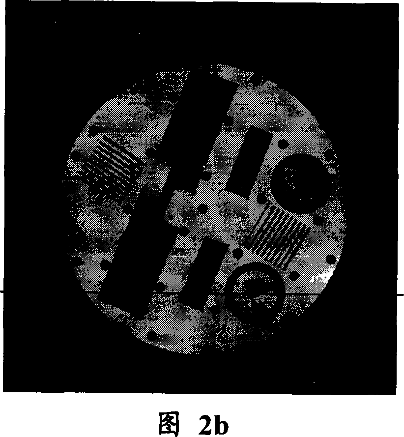 Magnetic resonant part K data image re-establishing method based on compound strange spectrum analysis