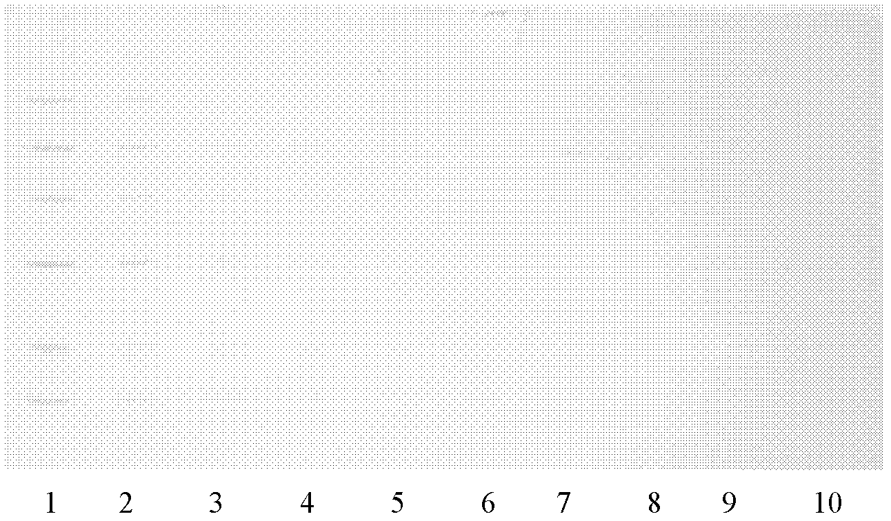 Silver staining reagent and staining method thereof