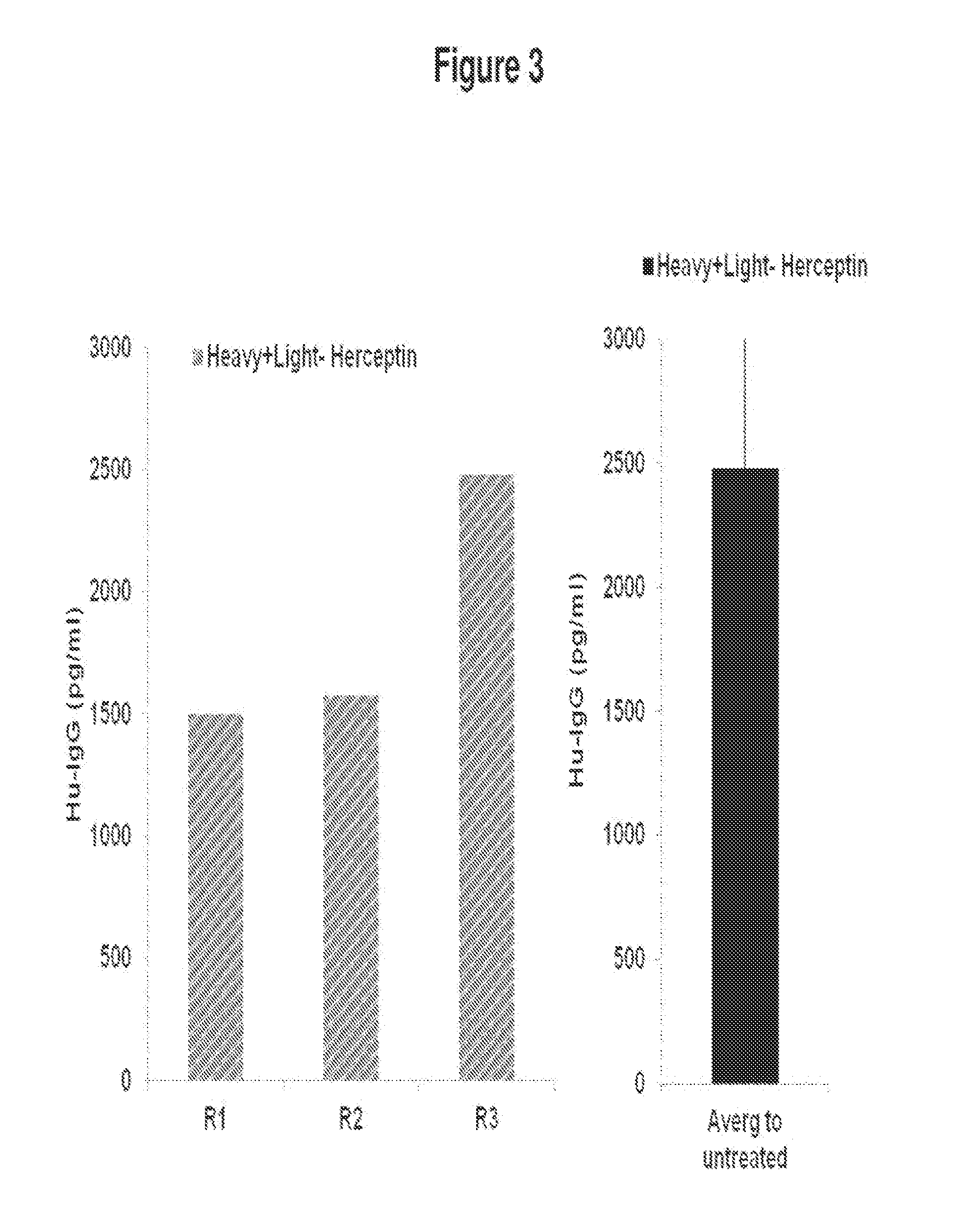 Method of producing antibodies