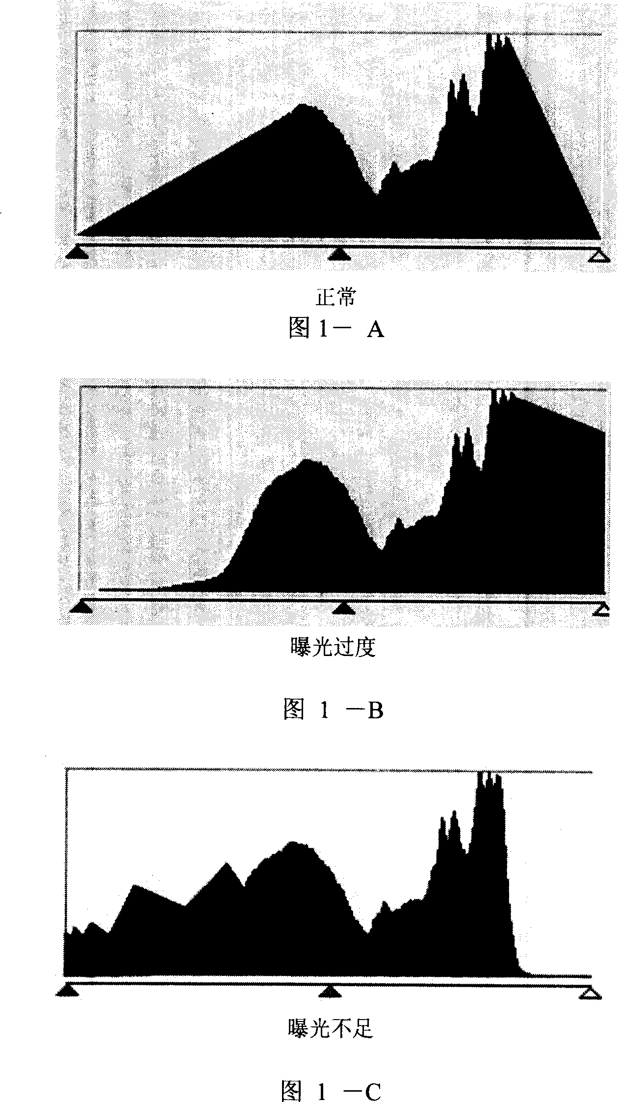 Automatic explosion method based on multi-area partition and fuzzy logic