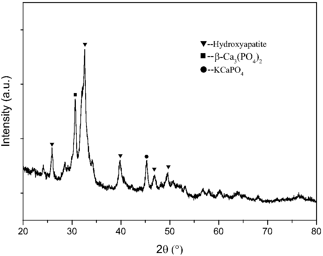 Solid base biodiesel catalyst with animal bones as carrier and preparation method thereof