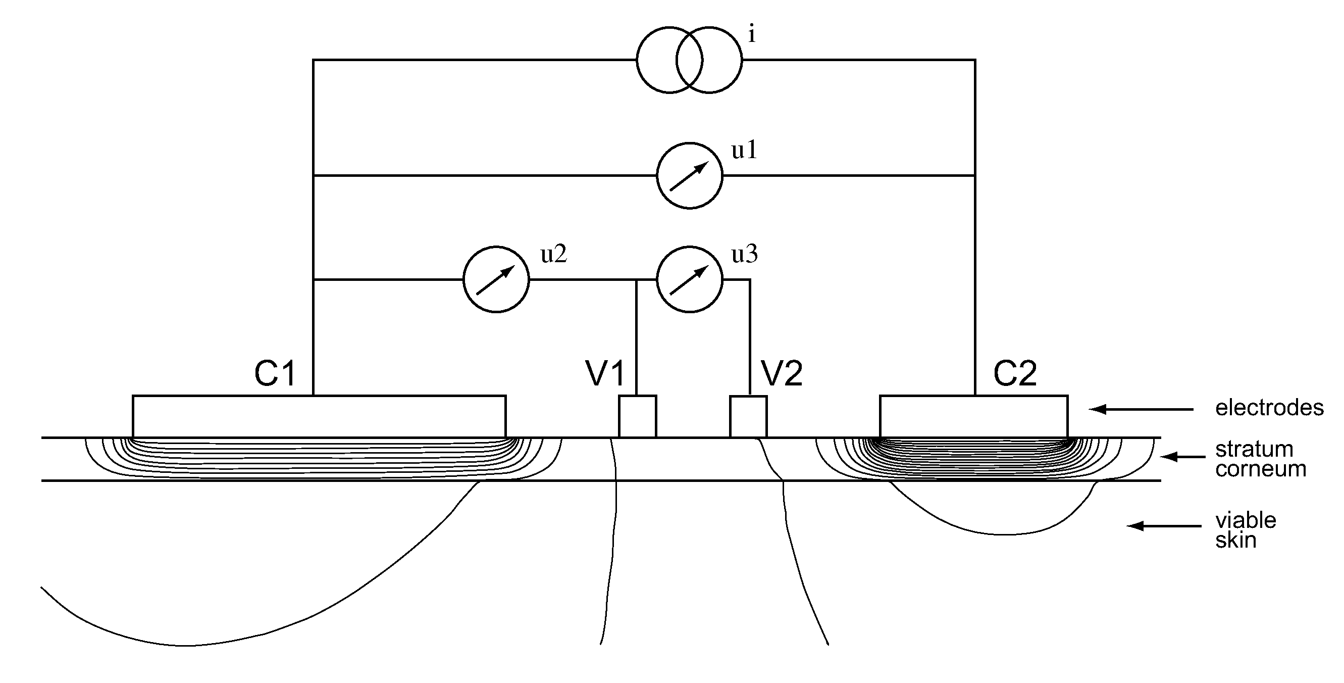 Volume specific characterization of human skin by electrical immittance