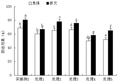 Method of preventing tomato bacterial wilt