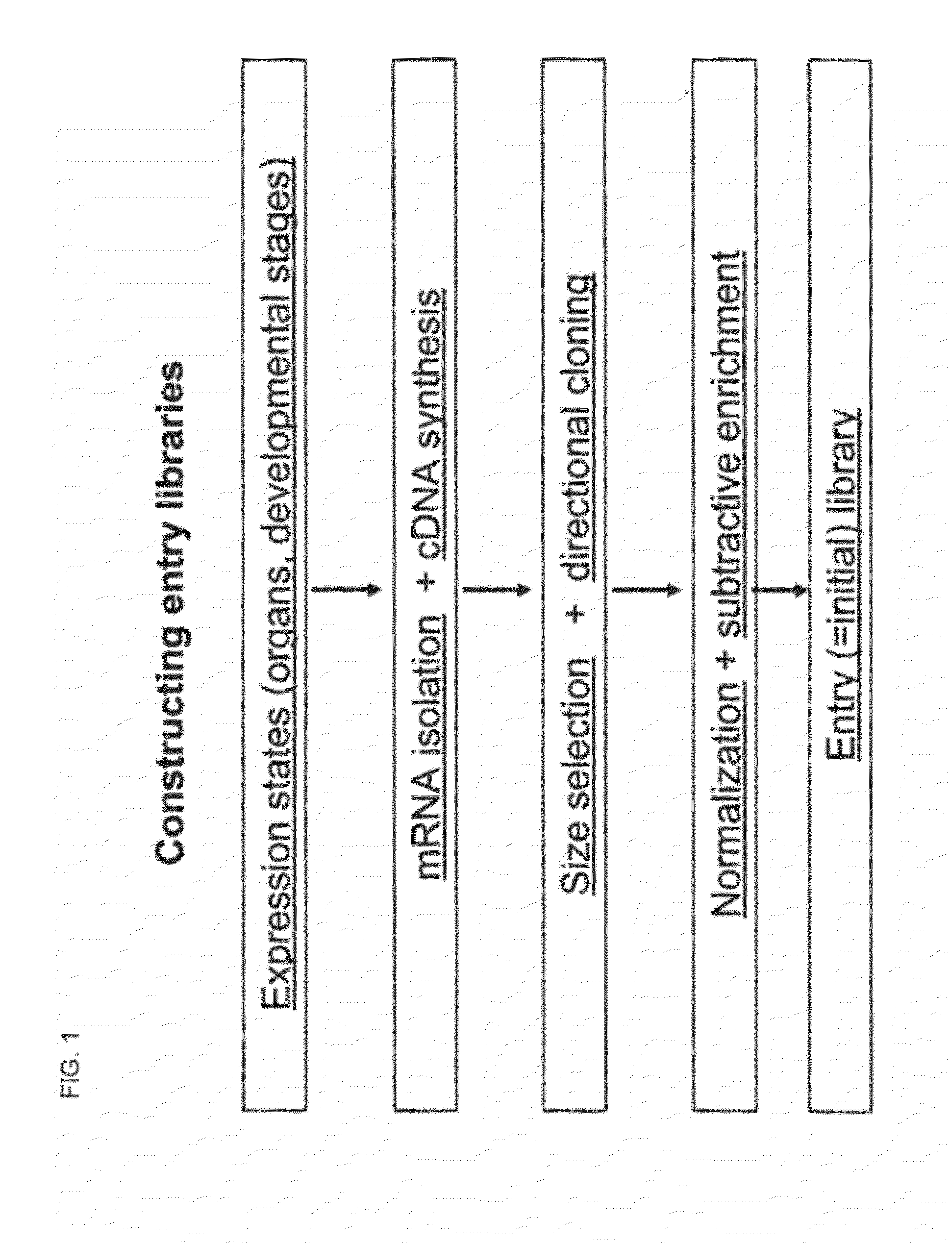 Library of a Collection of Cells